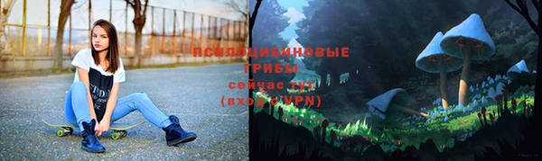 герыч Медвежьегорск