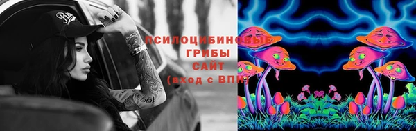 прущие крисы Медногорск