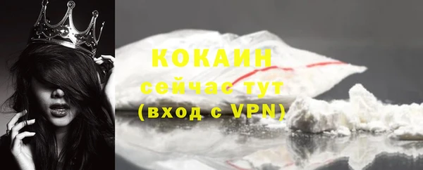 амф Мегион